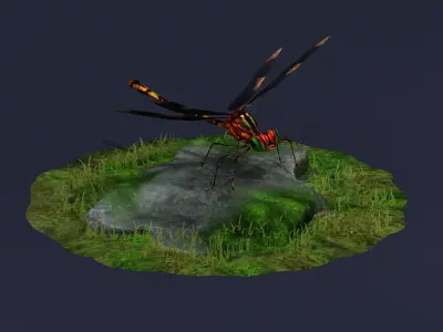 Dragonflies ants beneficial insects realistic arthropod insects 3D model