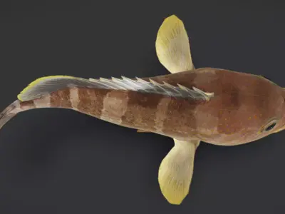 Realistic Yellow Grouper Animated 3D model