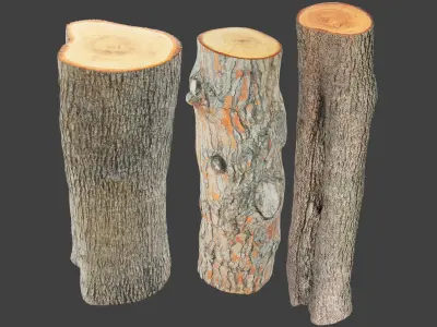Logs Collection V2 3D model