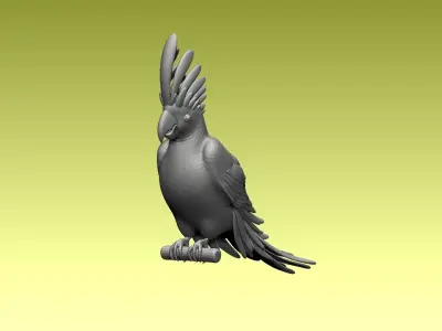 parrot cacadu 3D model