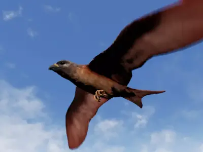 Folcan - Bird Low-poly 3D model