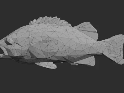 Low Poly Black Rockfish Low-poly 3D model