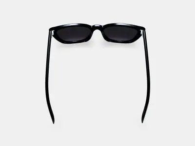 Janelle Sunglasses in Jet Black 3D model