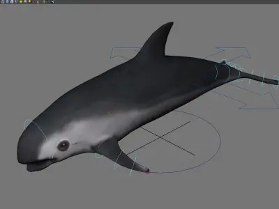dolphin animal porpoise cetaceans whale marine dauphin 3D model