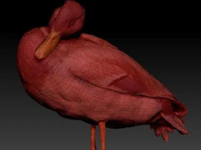 Duck 16 Low-poly 3D model