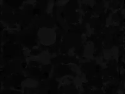 Cute Tuxedo Cat - Cartoon Character 3D Model Low-poly 3D model