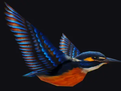 Realistic Kingfisher Animated Bird Hummingbird Shoal Low-poly 3D model