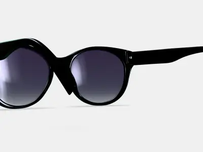 Annika Sunglasses in Jet Black 3D model