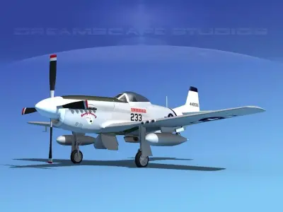 P-51D Mustang Acey-Ducey 3D model