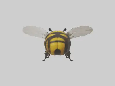 Bumblebee Model 1 Low-poly 3D model