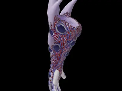 Armor Glove Low-poly 3D model