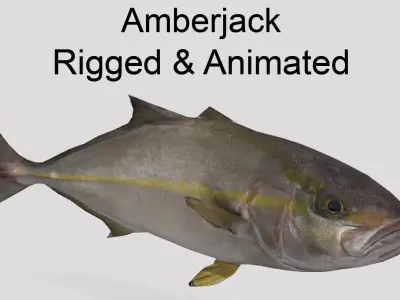 Amberjack Realistic Animated Low-poly 3D model