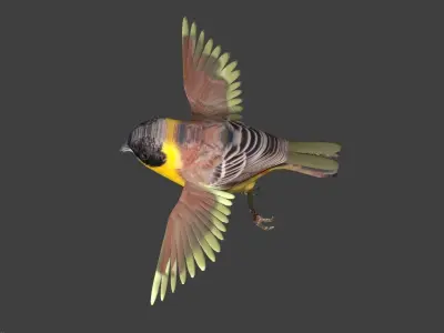 bunting animated Low-poly 3D model