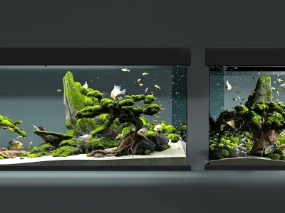 Aquarium snail king 3D model