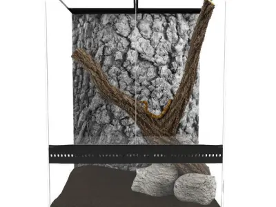 Terrarium With A Snake 3D model