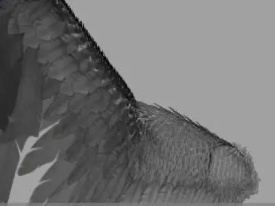 Angel Wings  3D model