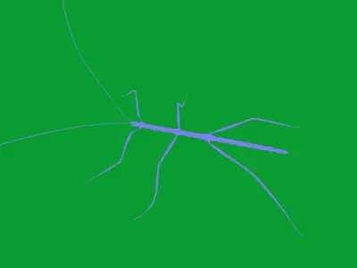 Giant Insect Stick Low-poly 3D model