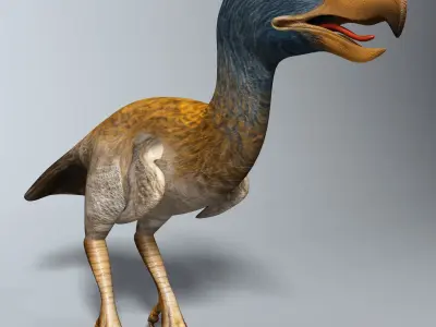 Titanis Walleri - Terror Bird RIGGED and ANIMATED vs Smilodon Low-poly 3D model