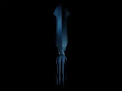 Giant Squid Low-poly 3D model get