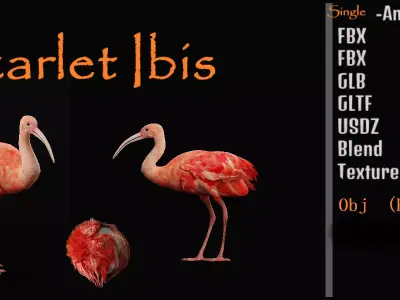 Scarlet Red Ibis Bird Low-poly 3D model