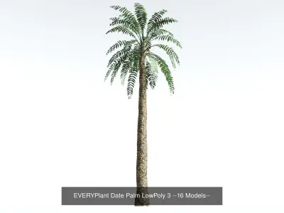 EVERYPlant Date Palm Bundle LowPoly --64 Models-- 3D Model Collection
