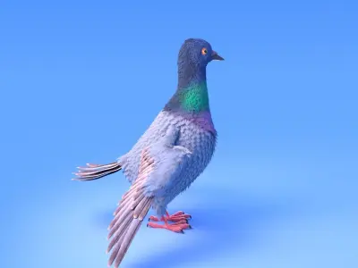 Pigeon with feather system - Cartoon style 3D model