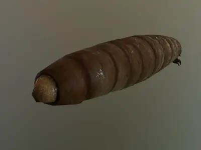 Worm Maggot Low-poly 3D model