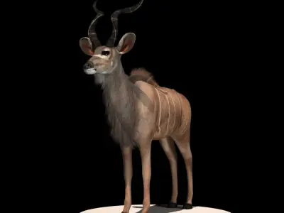Deer 3d model african antelope 3D model