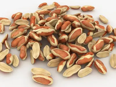Peanut with Peel Pile 3D model