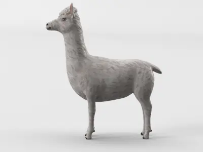 Low Poly Animal Cartoon Lama - Alpaca -  llama - Unwapped 4K Low-poly 3D model