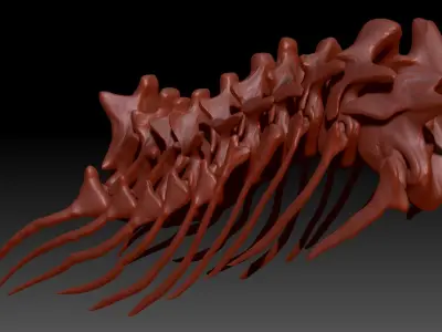TRex Neck Set Skeletons 3D model