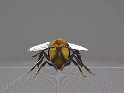 Bee Animation 3D model