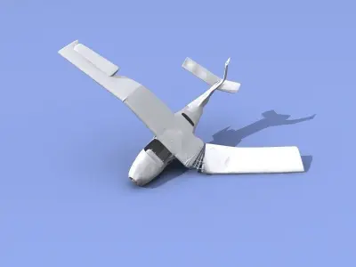 Plane Wreck 3D model