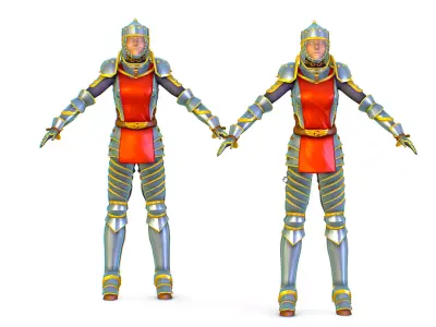 Subdivision 3D Women The Heavy Knight Low-poly 3D model