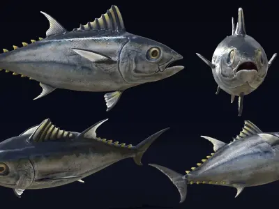 Bluefin Tuna Fish low poly Low-poly 3D model