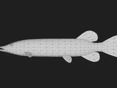 Pike fish Low-poly 3D model