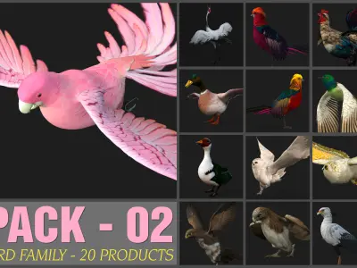 Pack-02-Bird Family 3D model