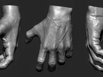 Human hand 3D model