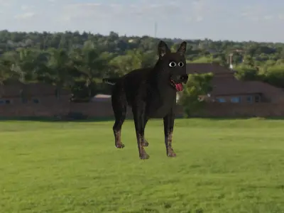 Wrigley the Dog Model 3D model