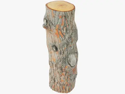 Logs Collection V2 3D model