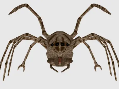 Spider Monster - Game Ready Low-poly 3D model