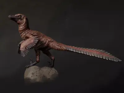 Velociraptor looking 1-20 FREE model pre-supported Free 3D print model