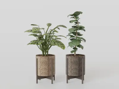 Pots with Plants 3D model
