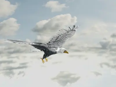 Eagle Model Game Ready flying in sky Low-poly 3D model