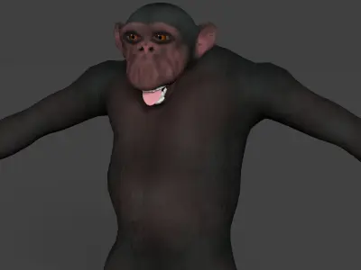 CHIMPAZEE monkey running Low-poly 3D model