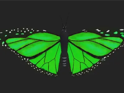 Low poly Butterfly Low-poly 3D model