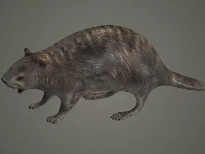 animal mammal groundhog rodent beaver squirrel  3D model