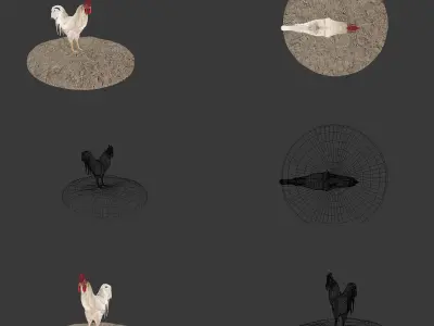 rooster 3d on rock 3D model