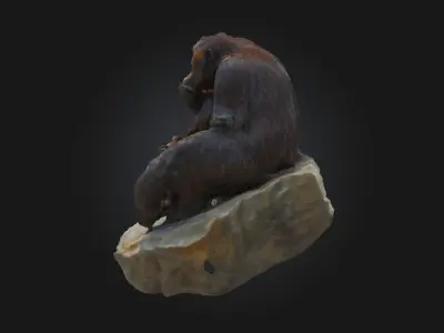 Orangutan Serenity Realistic Primate Model 3D model