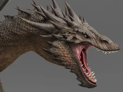 Dragon Adult No Rig 3D model